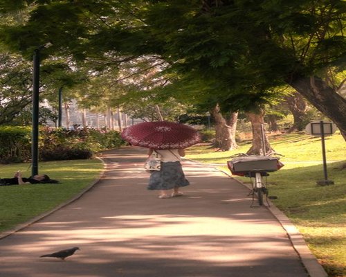 Calm walk in a city park in Bangkok